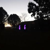 Deer Hollow Estates LLC ico