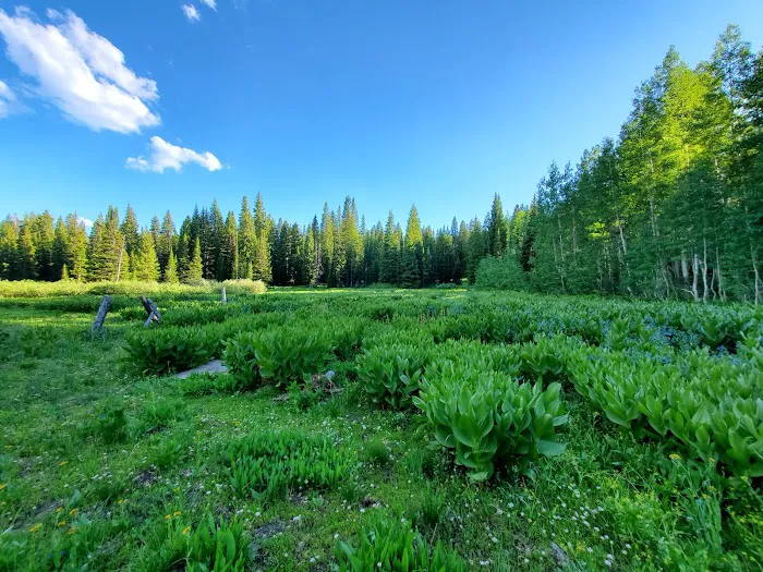 Egan Basin Guard Station Picture 6