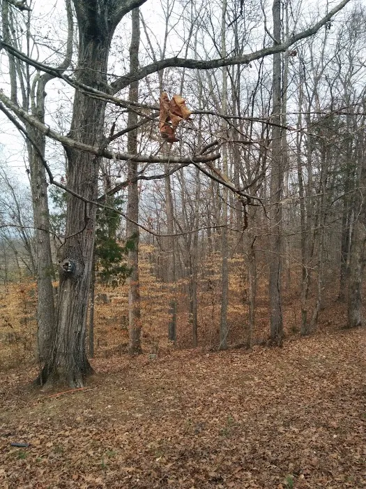 Deer Ridge RV Park Picture 9