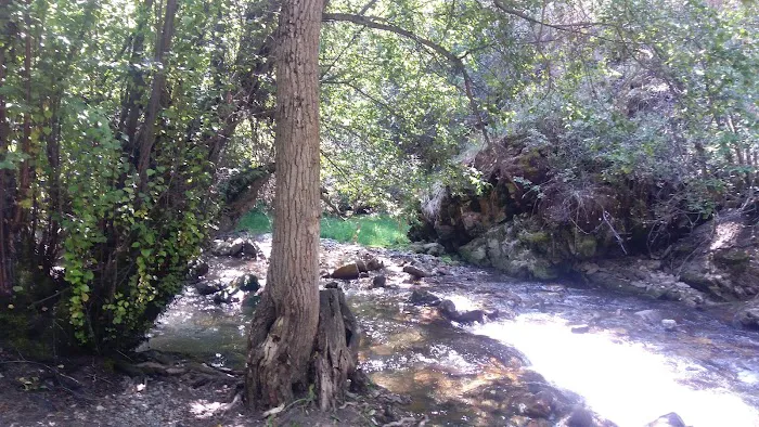 High Creek Campground Picture 4