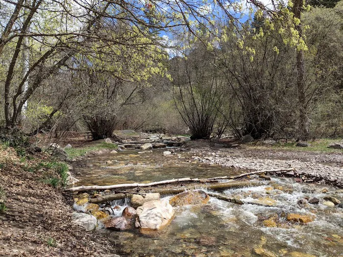 High Creek Campground Picture 3