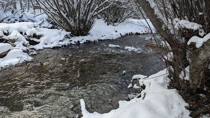 High Creek Campground Picture 2