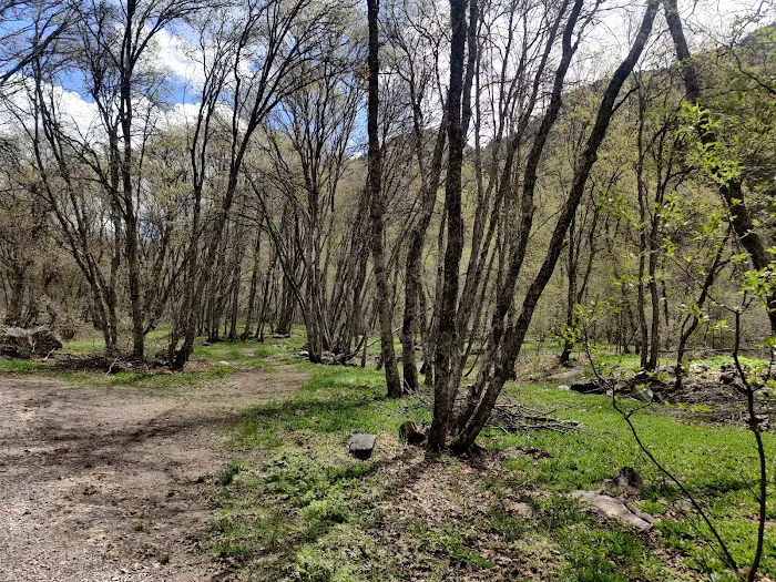 High Creek Campground Picture 7