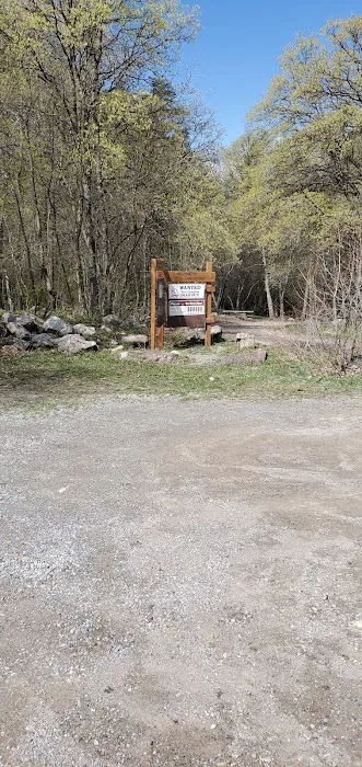 High Creek Campground Picture 6