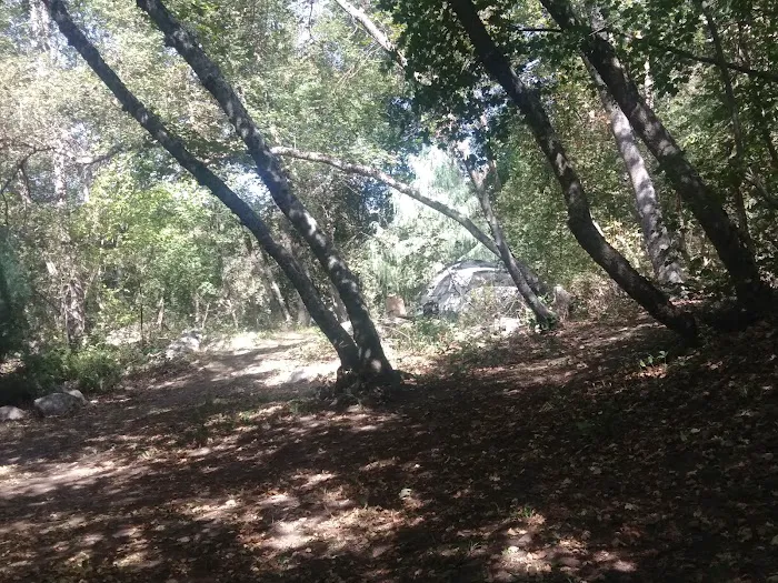 High Creek Campground Picture 8