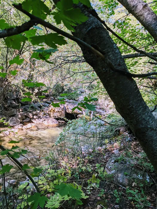 High Creek Campground Picture 10