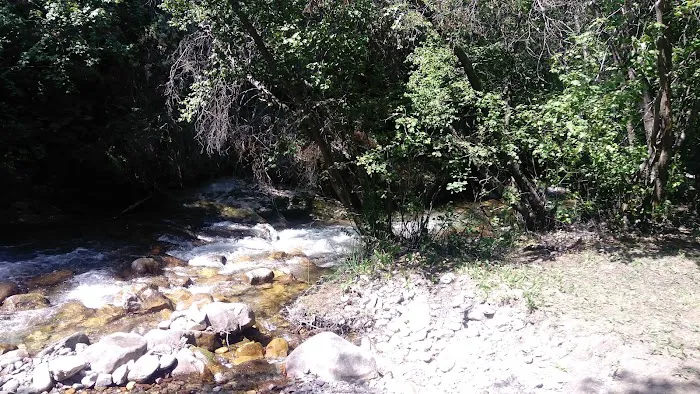 High Creek Campground Picture 9