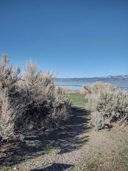 Mountain Fawn Campground Picture 5