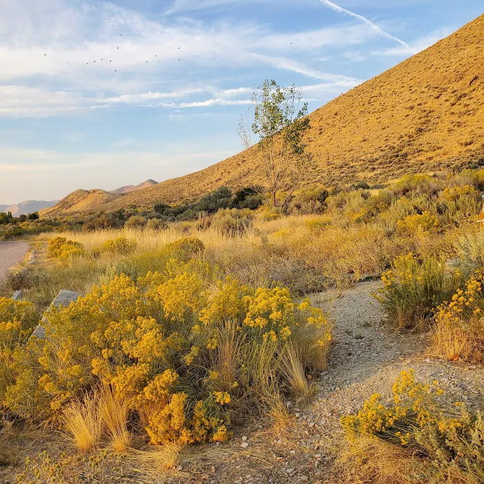 Mountain Fawn Campground Picture 6