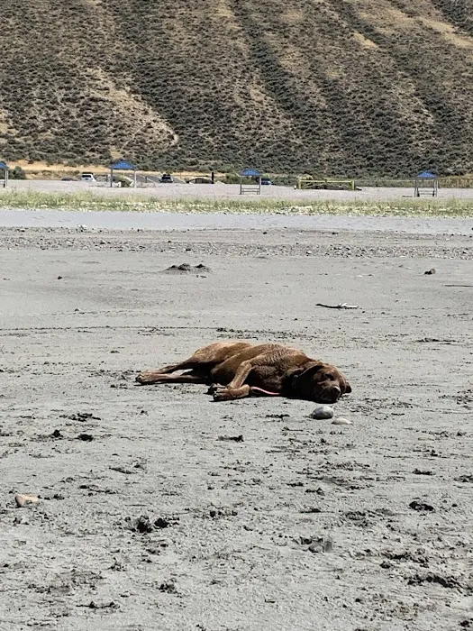 North Eden Campground Picture 8