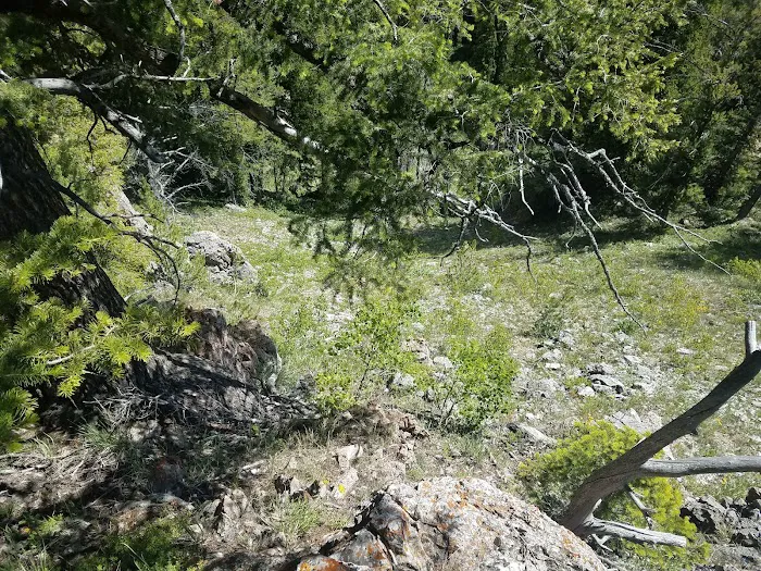 Beaver Creek Campground Picture 3