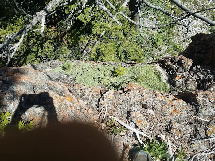 Beaver Creek Campground Picture 8