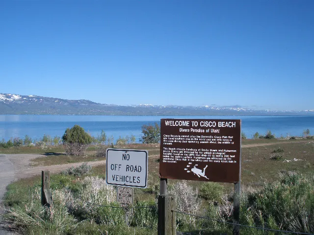 Cisco Beach Campground Picture 6