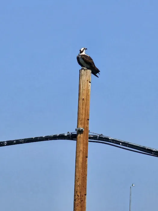 Riverside RV Park Picture 4