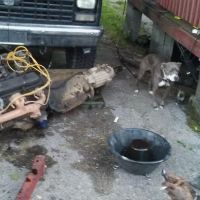 Glenwood Trailer Court ico