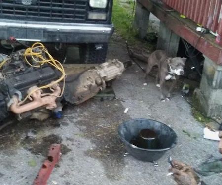 Glenwood Trailer Court