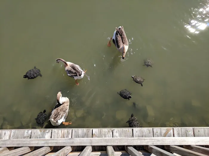 Barnyard RV Park Picture 4