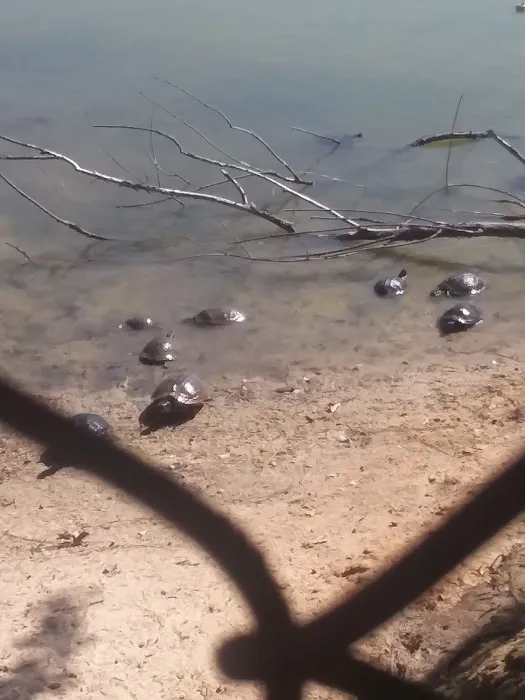 Barnyard RV Park Picture 8