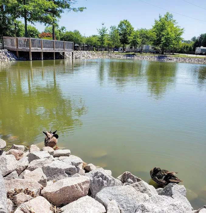 Barnyard RV Park Picture 10