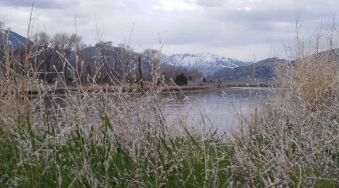 Pebble Creek Campground Picture 10