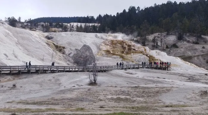 Pebble Creek Campground Picture 9