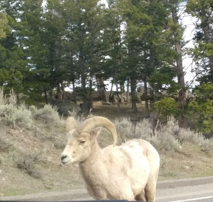 Pebble Creek Campground Picture 7