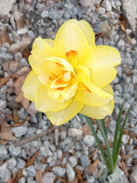 Parkwood Mobile Home Park. Picture 5