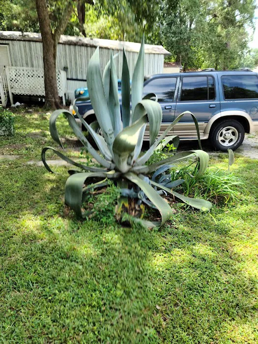 McGregor Downs Mobile Home Pk Picture 1