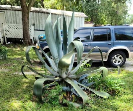 McGregor Downs Mobile Home Pk