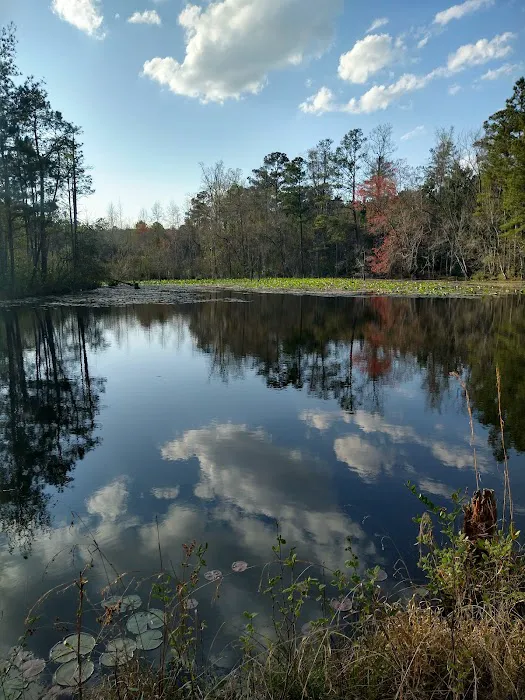Shady Acres Mobile Home Park Picture 3