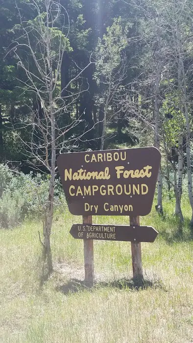 Dry Canyon Campground Picture 1