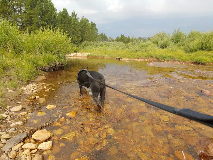 Sweetwater Guard Station Campground Picture 5