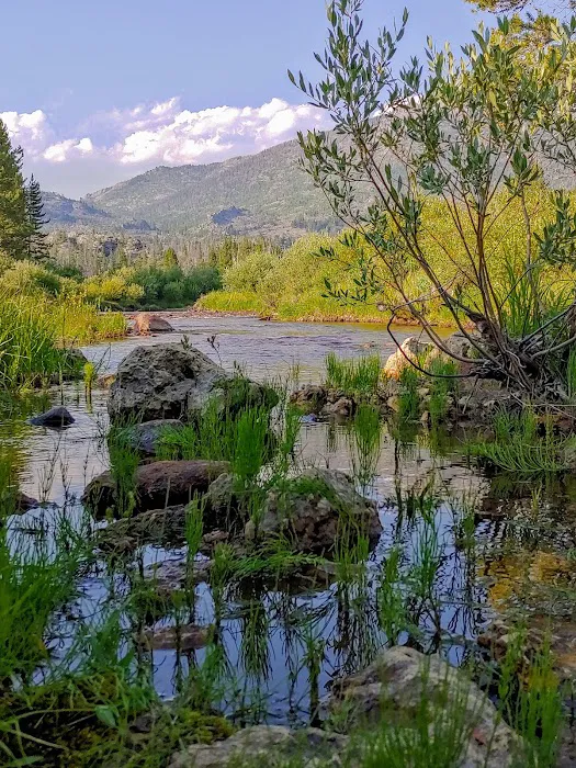 Sweetwater Guard Station Campground Picture 9