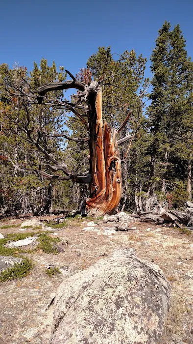 Dickinson Creek Campground Picture 1