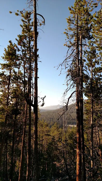 Dickinson Creek Campground Picture 5