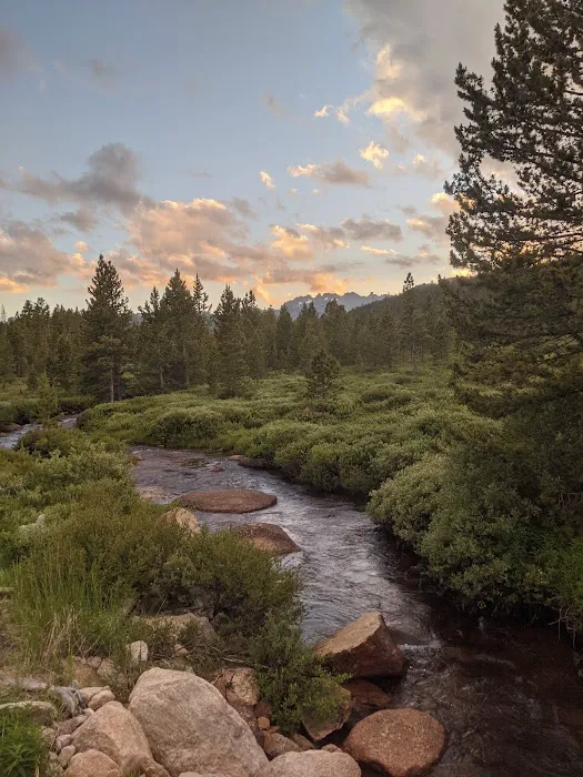 Dickinson Creek Campground Picture 4