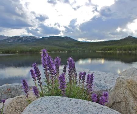 Lakewood Mobile Home Estates