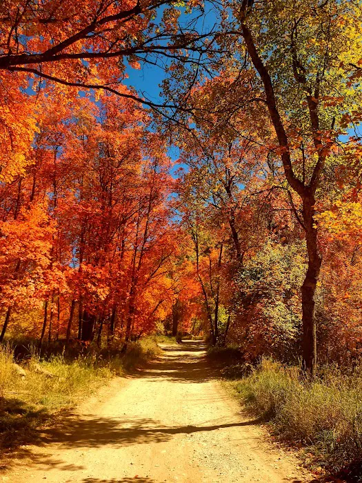 Smithfield Campground Picture 1