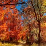 Smithfield Campground