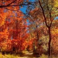 Smithfield Campground ico