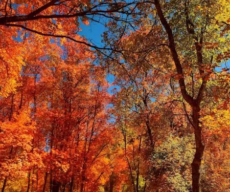 Smithfield Campground