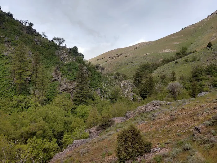 Smithfield Campground Picture 4