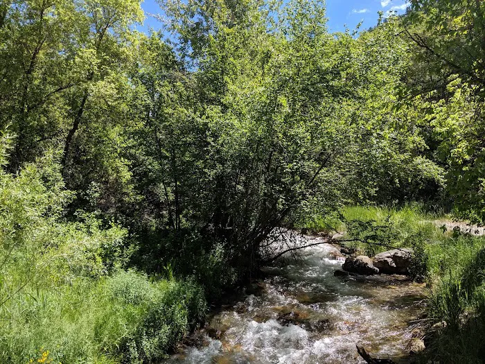 Smithfield Campground Picture 5