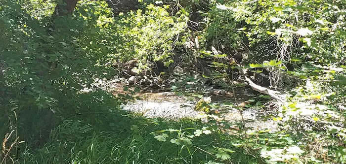 Smithfield Campground Picture 9