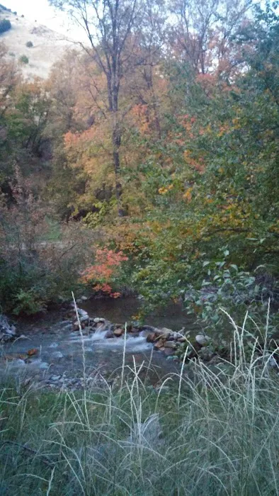 Smithfield Campground Picture 8