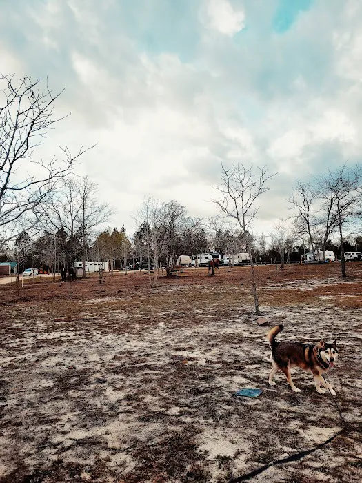 Sandy Oak RV Park Picture 5