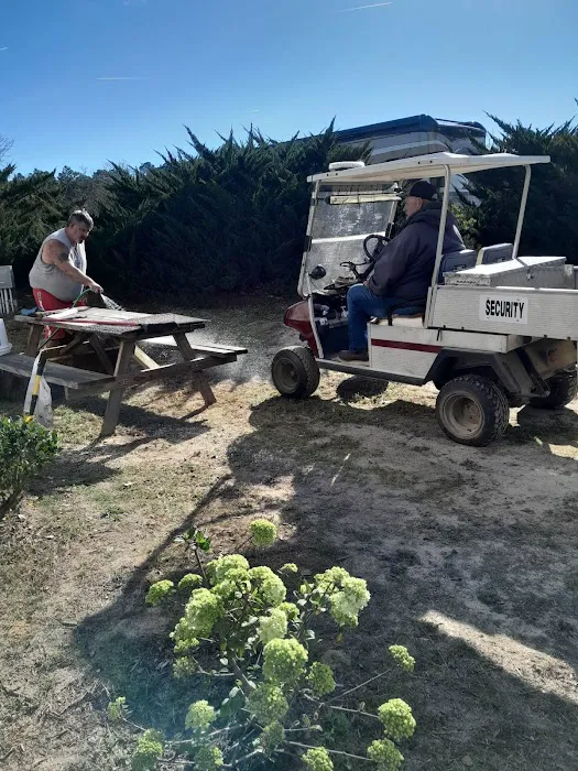 Sandy Oak RV Park Picture 10