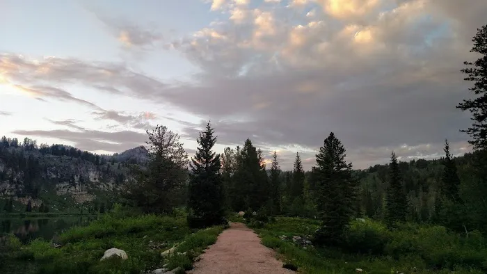 Tony Grove Campground Picture 7