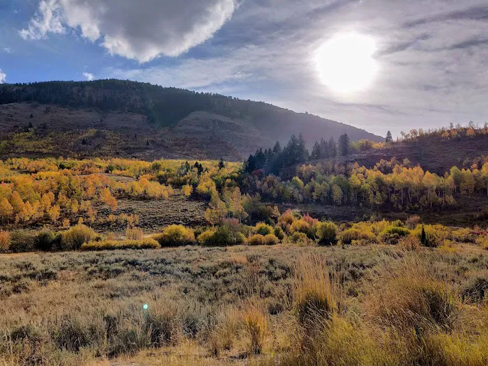 Red Banks Campground Picture 1