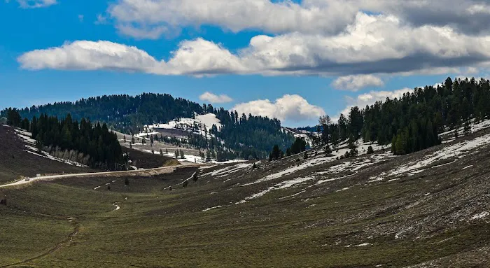 Red Banks Campground Picture 4